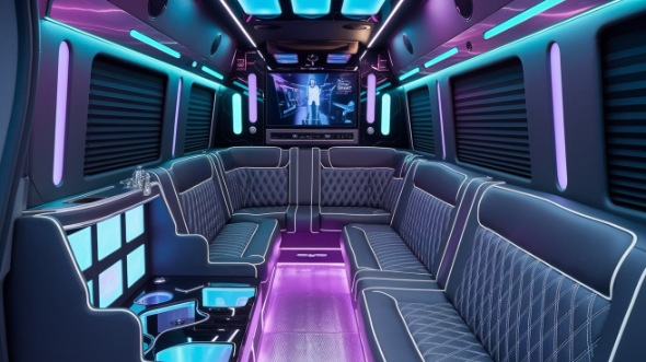seattle sprinter limo rental inside